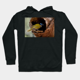 Home Builder Hoodie